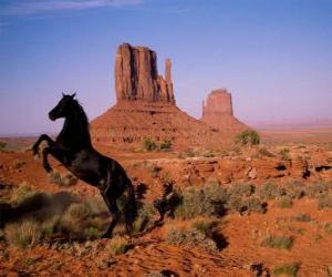 Puzzle Έρημο μαύρο άλογο